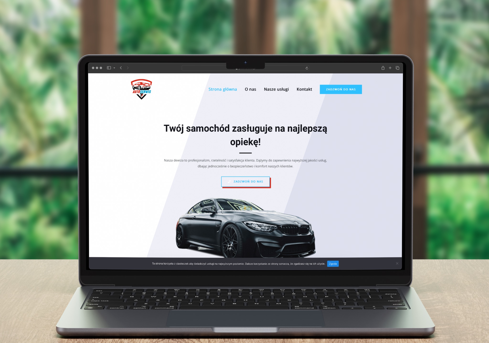 Strona dla Auto Serwis TP