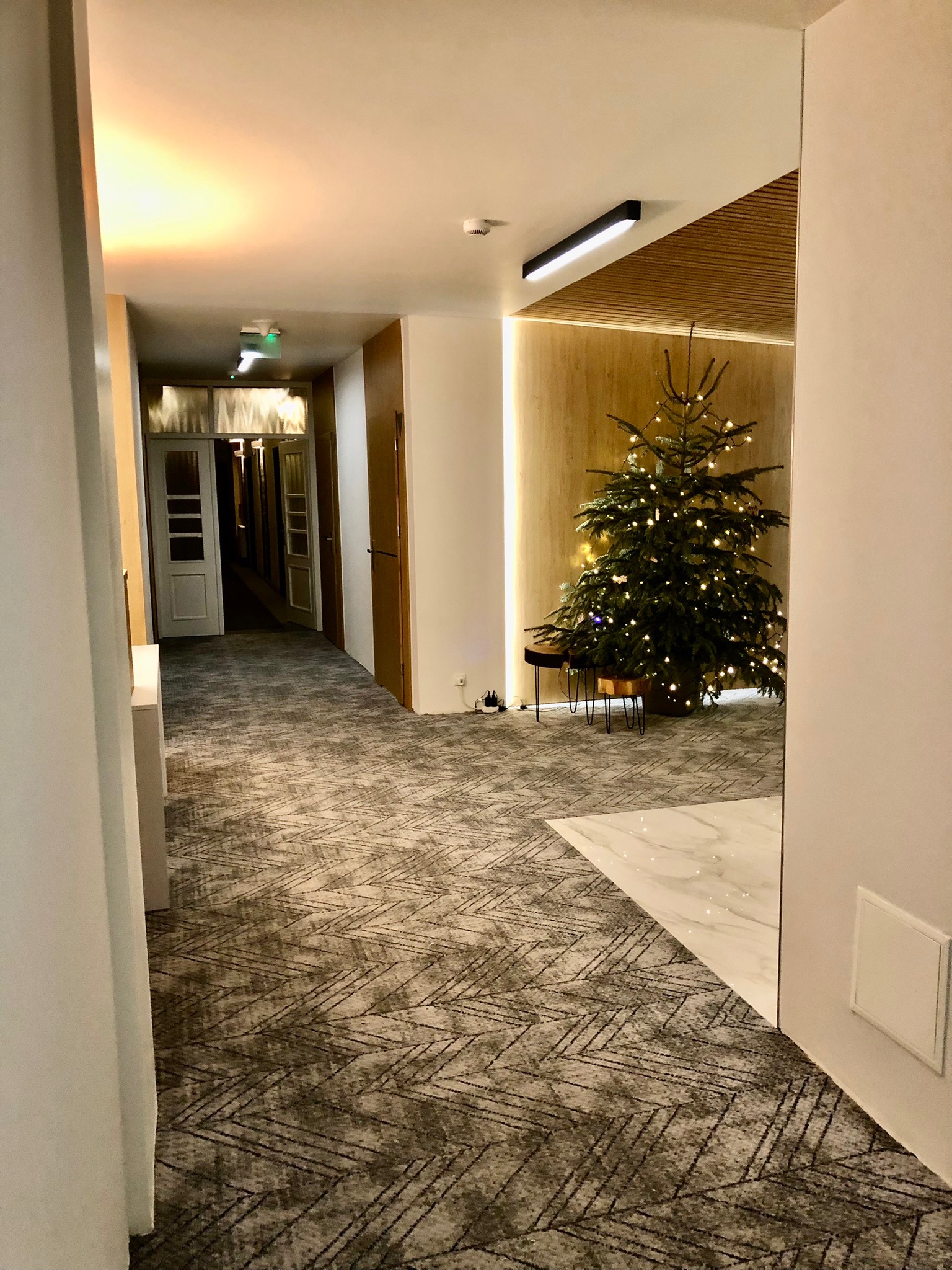 Korytarz hotelowy z wzorzystą wykładziną dywanową, oświetleniem LED i choinką z lampkami w głębi, widok zza rogu ściany.