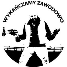 ALFA Bożena Kwiatkowska Usługi Budowlano Wykończeniowe - Remont Stropu Drewnianego Gdańsk