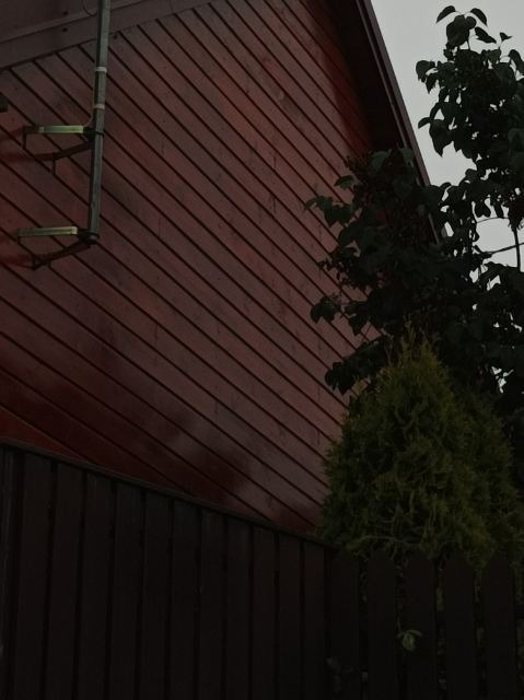 Ciemnoczerwona drewniana elewacja budynku z metalową drabinką przymocowaną do ściany, widoczna zza ciemnego drewnianego płotu i zielonych krzewów.