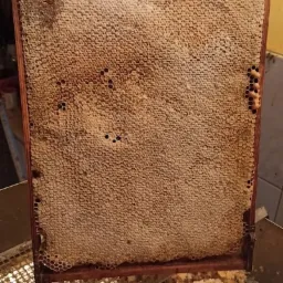 Zasklepiona pełna ramka