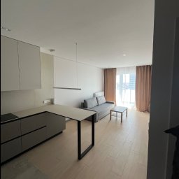 Inside Home Building - Jasne, nowoczesne wnętrze z kuchnią w odcieniach szarości, drewnianą podłogą i szarą sofą. Widok z perspektywy wejścia, minimalistyczny design, stonowana kolorystyka.