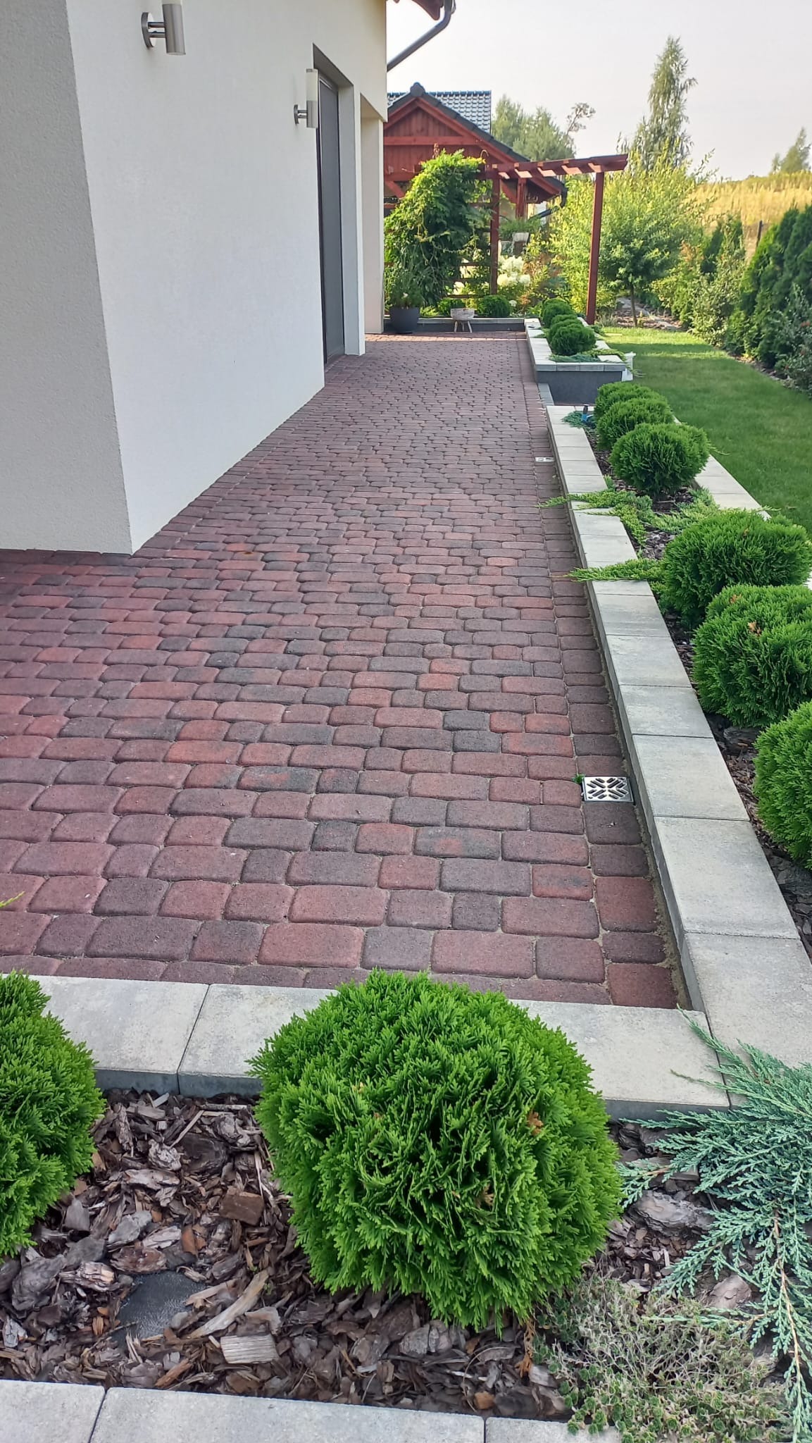Czerwono-brązowa kostka brukowa tworząca ścieżkę wzdłuż białego budynku, obrzeża z szarego betonu, ozdobne krzewy i trawnik po prawej stronie, pergola w tle.
