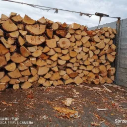 Kłody pociętego drewna ułożone w skrzyni ładunkowej samochodu, widoczne ślady po cięciu drewna na podłodze skrzyni.