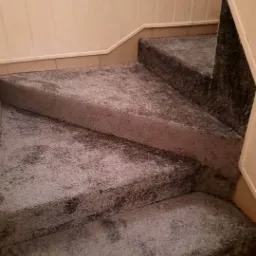 Schody pokryte szarą wykładziną dywanową, widoczne ślady użytkowania i nierównomierne oświetlenie, kremowe panele ścienne w tle.