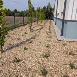 BUXUS Wiktor Skotarczak - Perfekcyjne Zakładanie Trawników Środa Wielkopolska