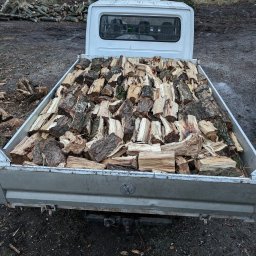 Wycinka drzew Środa Wielkopolska 3