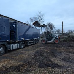 Wycinka drzew Środa Wielkopolska 4