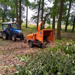 BUXUS Wiktor Skotarczak - Niebieski traktor z przyczepionym pomarańczowym rębakiem do gałęzi na terenie z drzewami i gałęziami. Operator siedzi w traktorze. Jensen HT 6AK