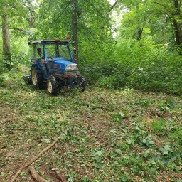 BUXUS Wiktor Skotarczak - Niebieski traktor w lesie po wycince, z widocznymi śladami cięcia na ściółce leśnej. Maszyna stoi na tle drzew i krzewów, sugerując prace porządkowe w terenie zalesionym.