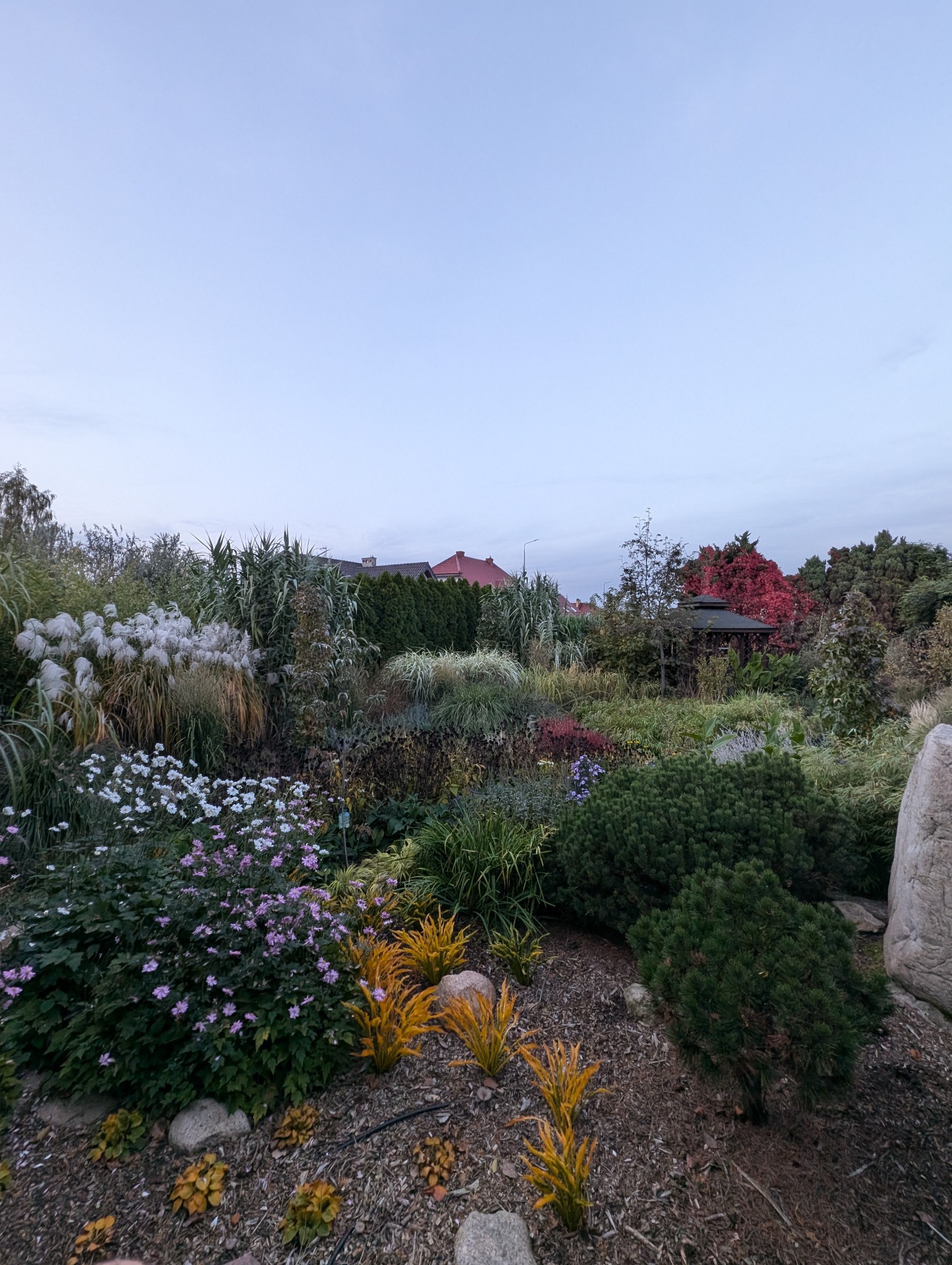 Bujny, wielobarwny ogród z kwitnącymi roślinami, ozdobnymi trawami i krzewami, otoczony kamieniami. W tle widoczny domek ogrodowy i zabudowania.
