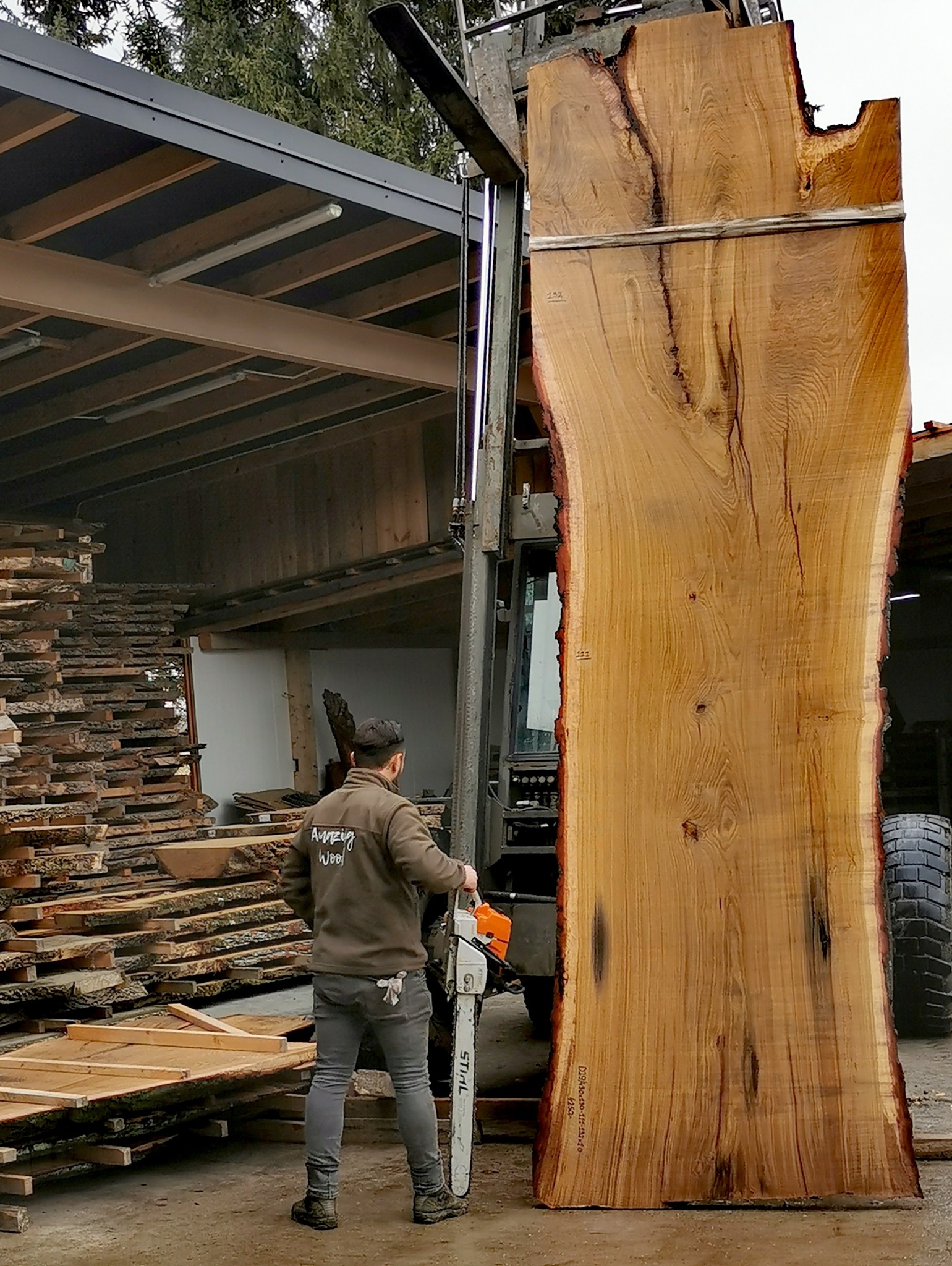 Pracownik tartaku z piłą spalinową Stihl, obok podnośnika z ogromnym, pojedynczym plastrem drewna o nieregularnych krawędziach, na tle stosu desek.