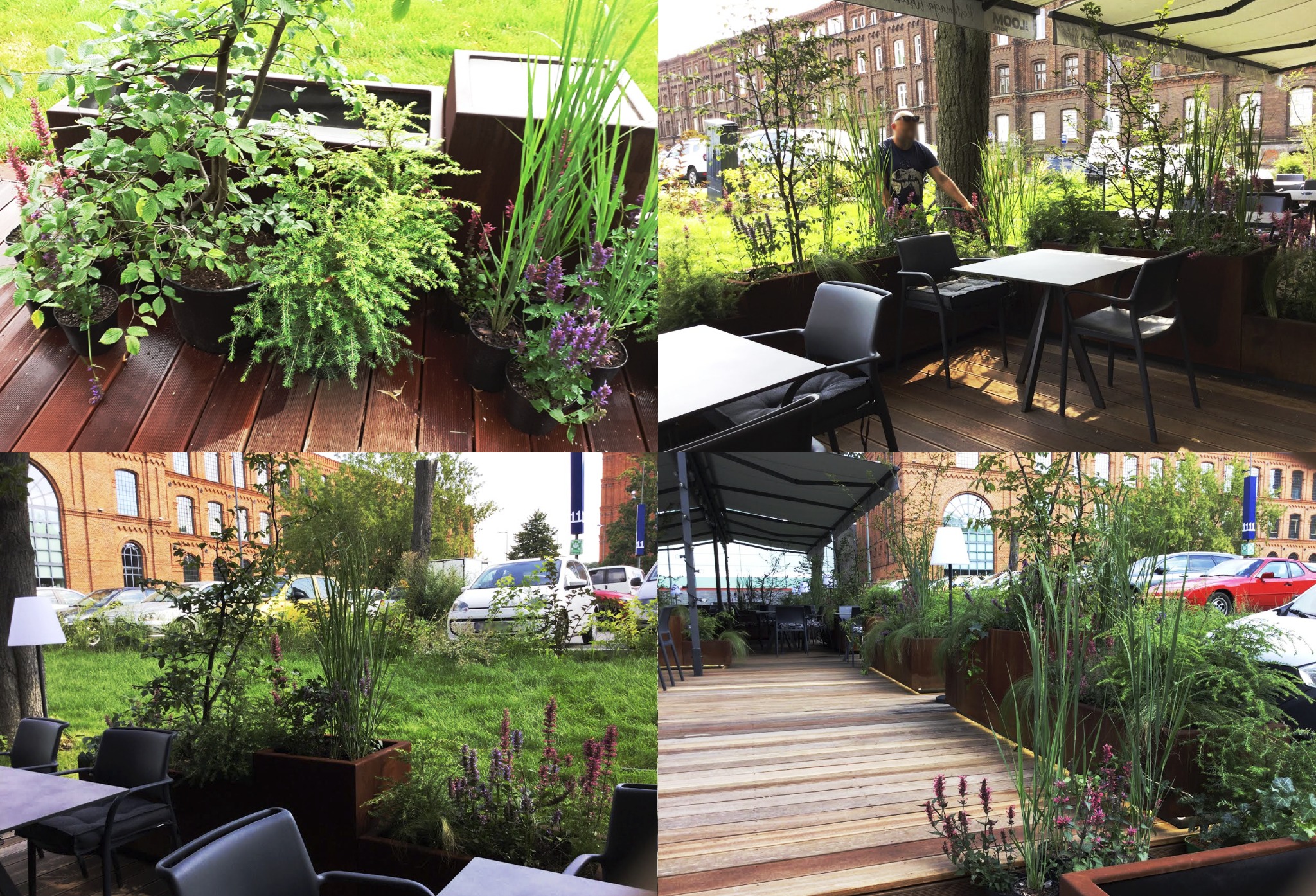 Aranżacja roślin w donicach na drewnianym tarasie zewnętrznym restauracji, z widokiem na budynek z czerwonej cegły i zaparkowane samochody.