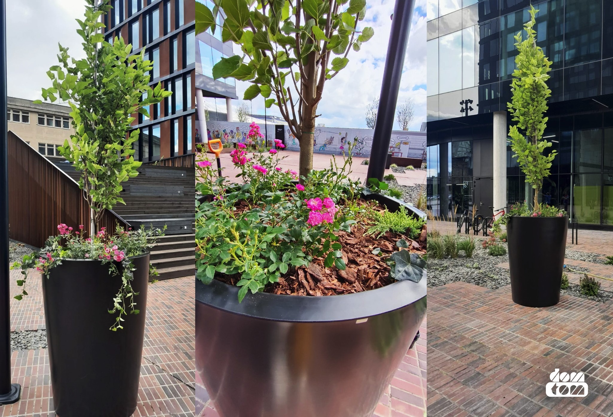 Kompozycja trzech ujęć: donica z drzewkiem i różowymi kwiatami na tle nowoczesnego budynku biurowego i schodów, donica z bliska z ziemią ogrodową i kwiatami, donica z drzewkiem na tle budynku...