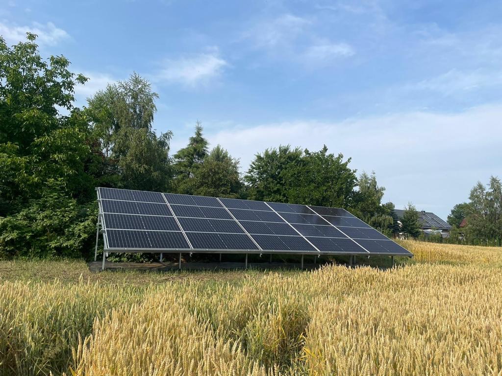 Rząd paneli słonecznych ustawionych na metalowej konstrukcji na polu zboża, z drzewami w tle i błękitnym niebem z chmurami.