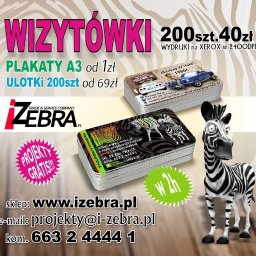 Wizytówki Warszawa 1