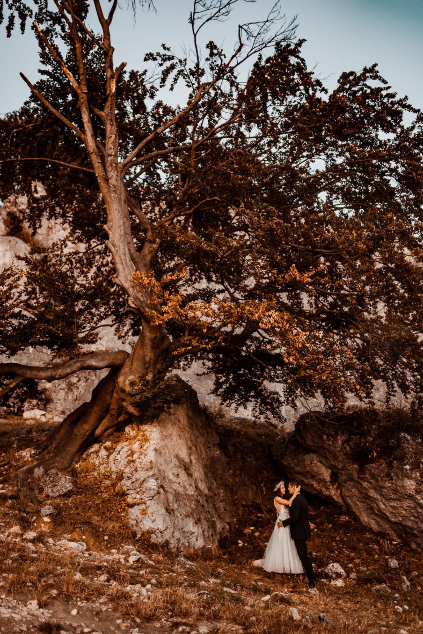 Para młoda w objęciach pod rozłożystym, starym drzewem na tle skalistego wzgórza o zachodzie słońca.
