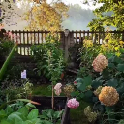 Poranny ogród z drewnianym płotem ozdobionym rzeźbą głowy, hortensjami i grządkami warzywnymi w delikatnej mgle.