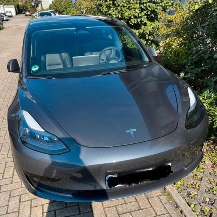 Szary samochód elektryczny Tesla zaparkowany na chodniku z kostki brukowej, widoczne z przodu, z zieloną roślinnością w tle.