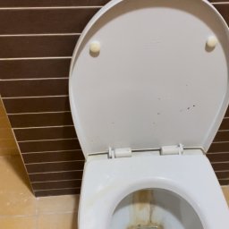 Sprzątanie mieszkań Wielogóra 3