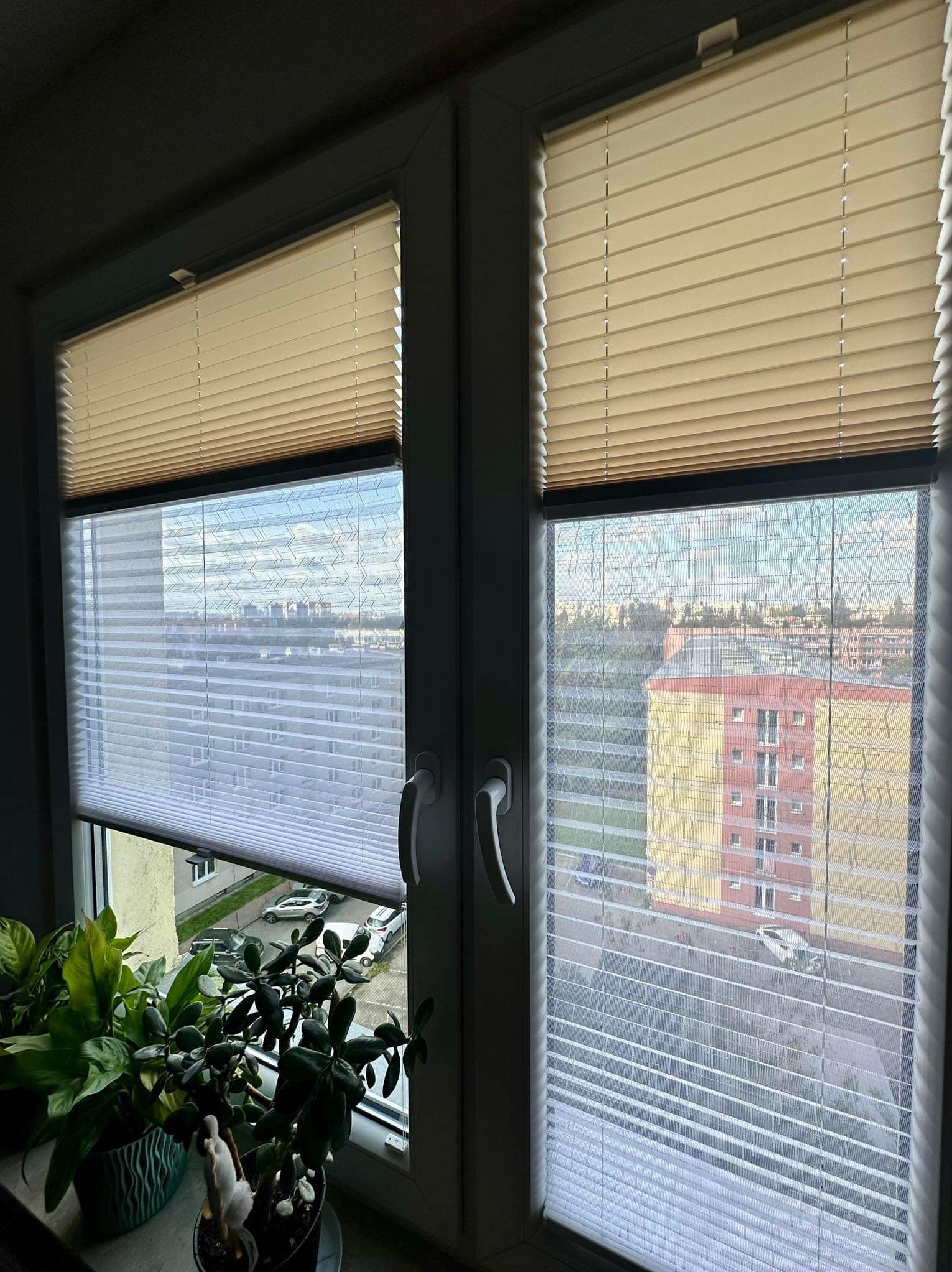 Dwa okna z zamontowanymi plisami: kremowe i białe, widok na osiedle zza okna, doniczkowe rośliny na parapecie.
