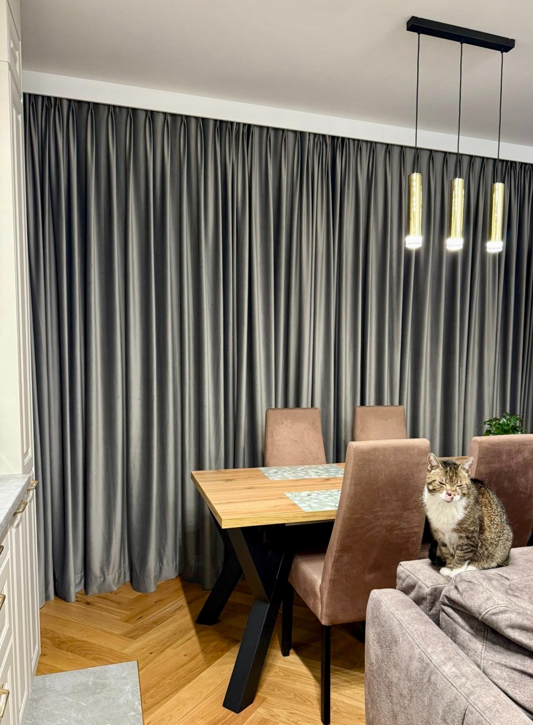 Eleganckie, grafitowe zasłony w salonie z drewnianym stołem i lampami wiszącymi. Na kanapie siedzi pręgowany kot z białym futrem na piersi.
