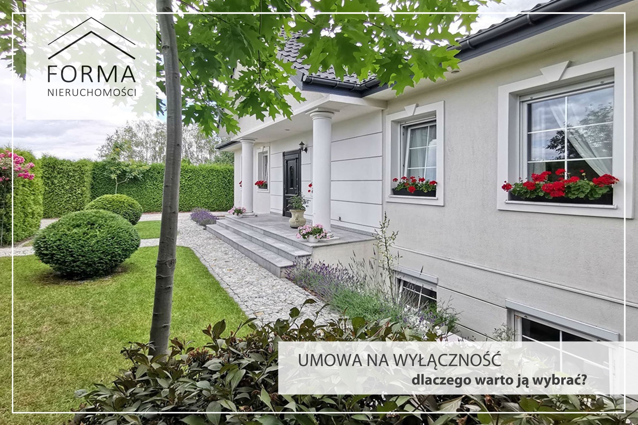 Elegancki, biały dom jednorodzinny z kolumnami przy wejściu, czerwonymi kwiatami w oknach i zadbanym ogrodem. Na pierwszym planie krzewy, w tle żywopłot. W lewym górnym rogu logo agencji...