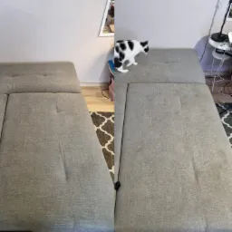 Porównanie stanu sofy przed i po czyszczeniu, widoczne plamy i zabrudzenia po prawej stronie, po lewej sofa po czyszczeniu, na sofie stoi czarno-biały kot.