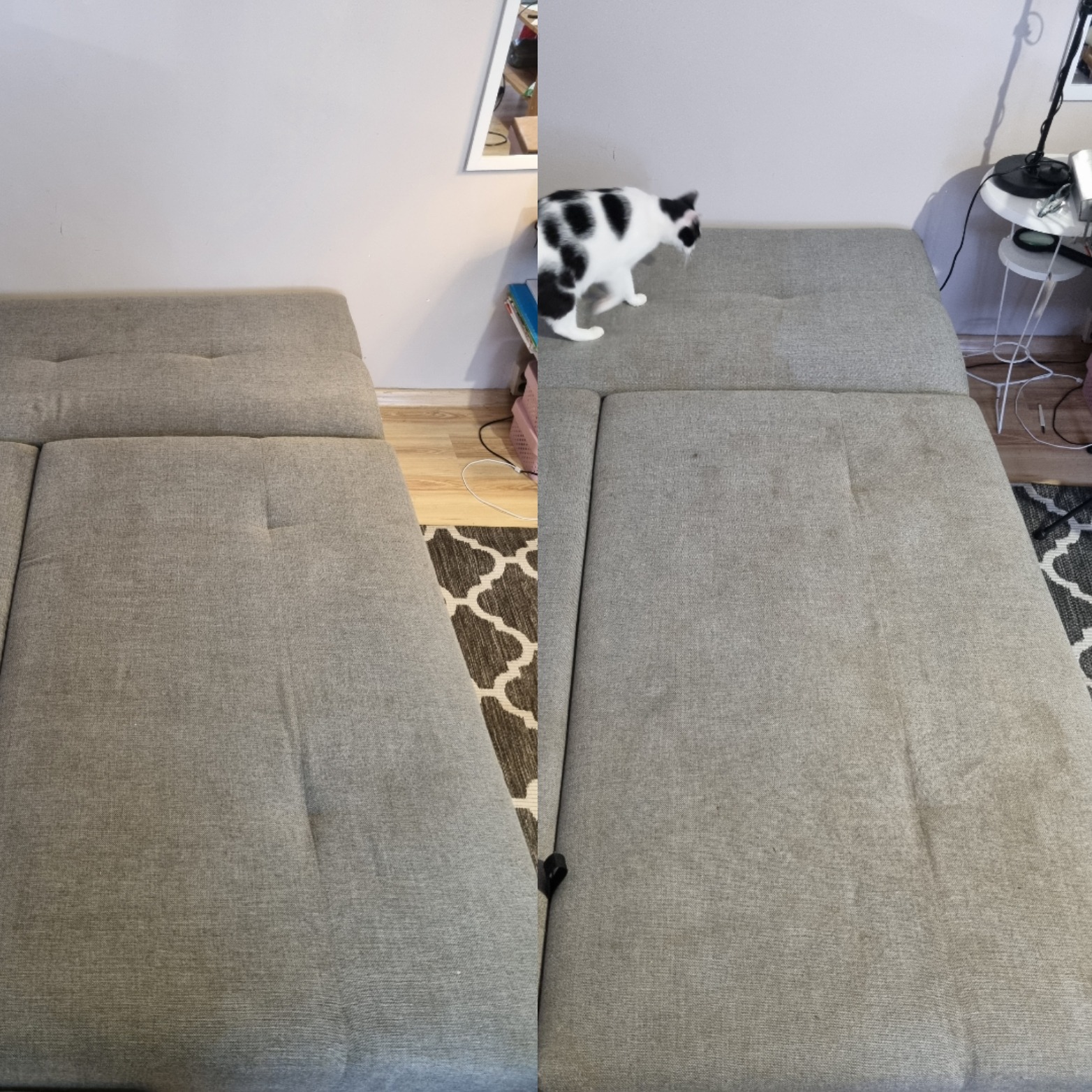 Porównanie stanu sofy przed i po czyszczeniu, widoczne plamy i zabrudzenia po prawej stronie, po lewej sofa po czyszczeniu, na sofie stoi czarno-biały kot.