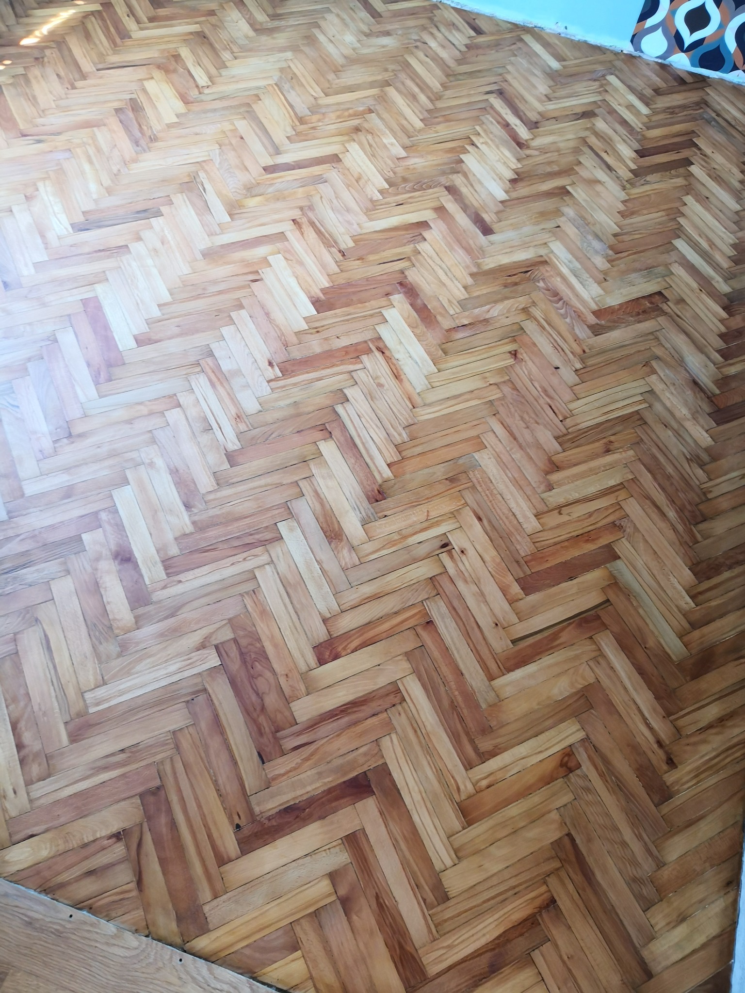 Ułożony parkiet w jodełkę z widocznym zróżnicowaniem odcieni drewna, od jasnego beżu po ciepły brąz, fragment ściany w tle.