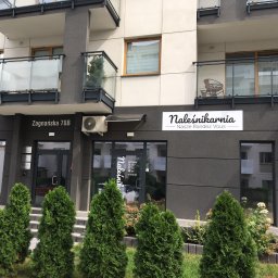 DDA Adam Mroczkowski - Catering Na Komunię Kielce