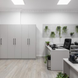 Kancelaria Gospodarcza EFFEKTI sp. z o.o. - Jasne, przestronne biuro z szarymi meblami, szafą zamykaną na klucz, biurkiem recepcyjnym, czarnym krzesłem biurowym i roślinami doniczkowymi na ścianie i parapecie.