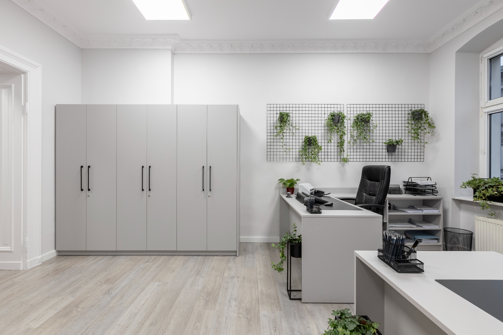 Jasne, przestronne biuro z szarymi meblami, szafą zamykaną na klucz, biurkiem recepcyjnym, czarnym krzesłem biurowym i roślinami doniczkowymi na ścianie i parapecie.