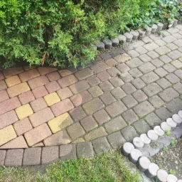 Częściowo wyczyszczona kostka brukowa na ścieżce w ogrodzie, widoczna różnica w kolorze i czystości między czyszczoną a nieczyszczoną powierzchnią, zarośnięta trawa i krzewy w tle.