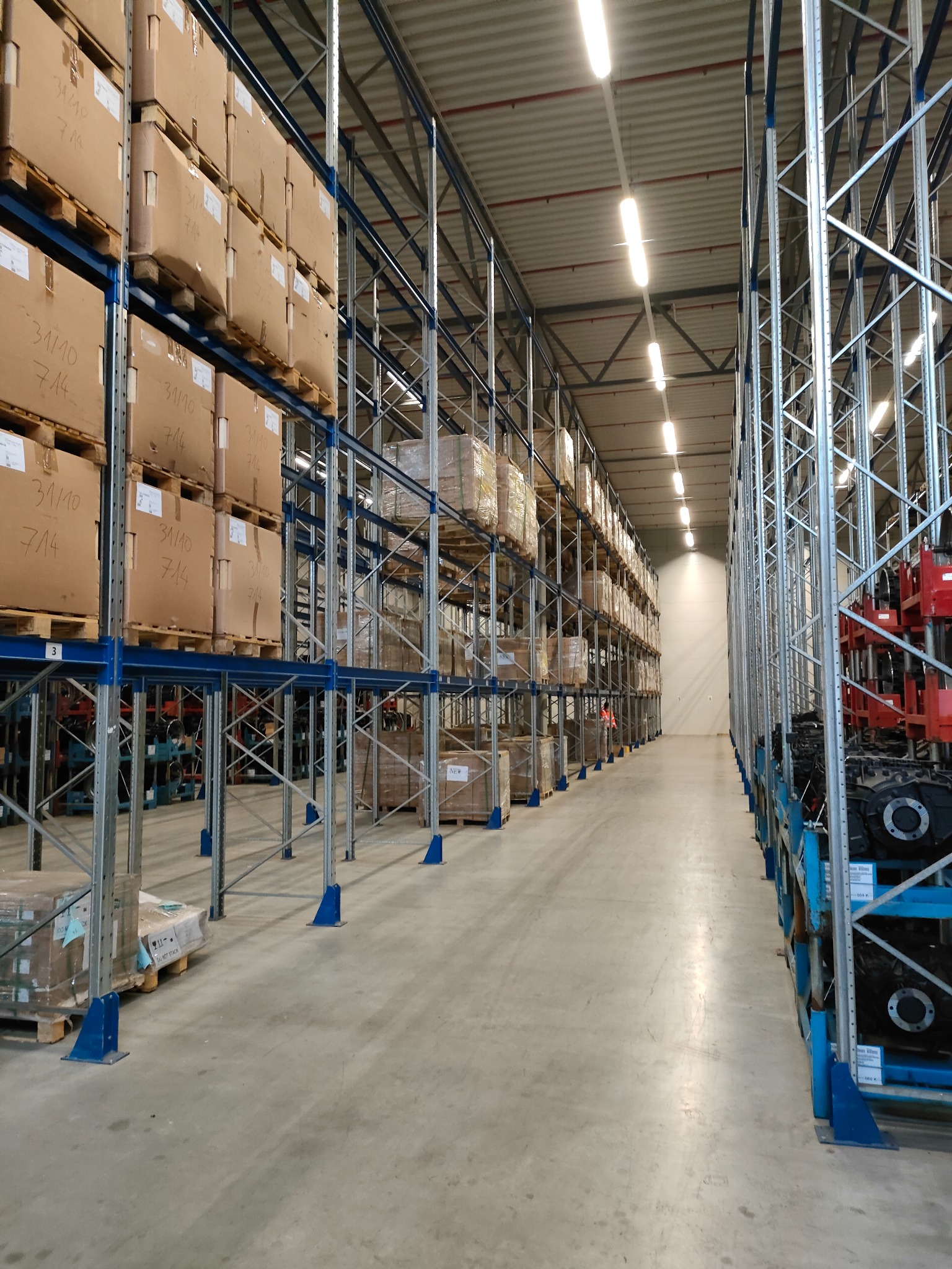 Wnętrze magazynu z wysokimi regałami wypełnionymi kartonami na paletach, widok wzdłuż korytarza, oświetlenie sufitowe, metalowa konstrukcja regałów.