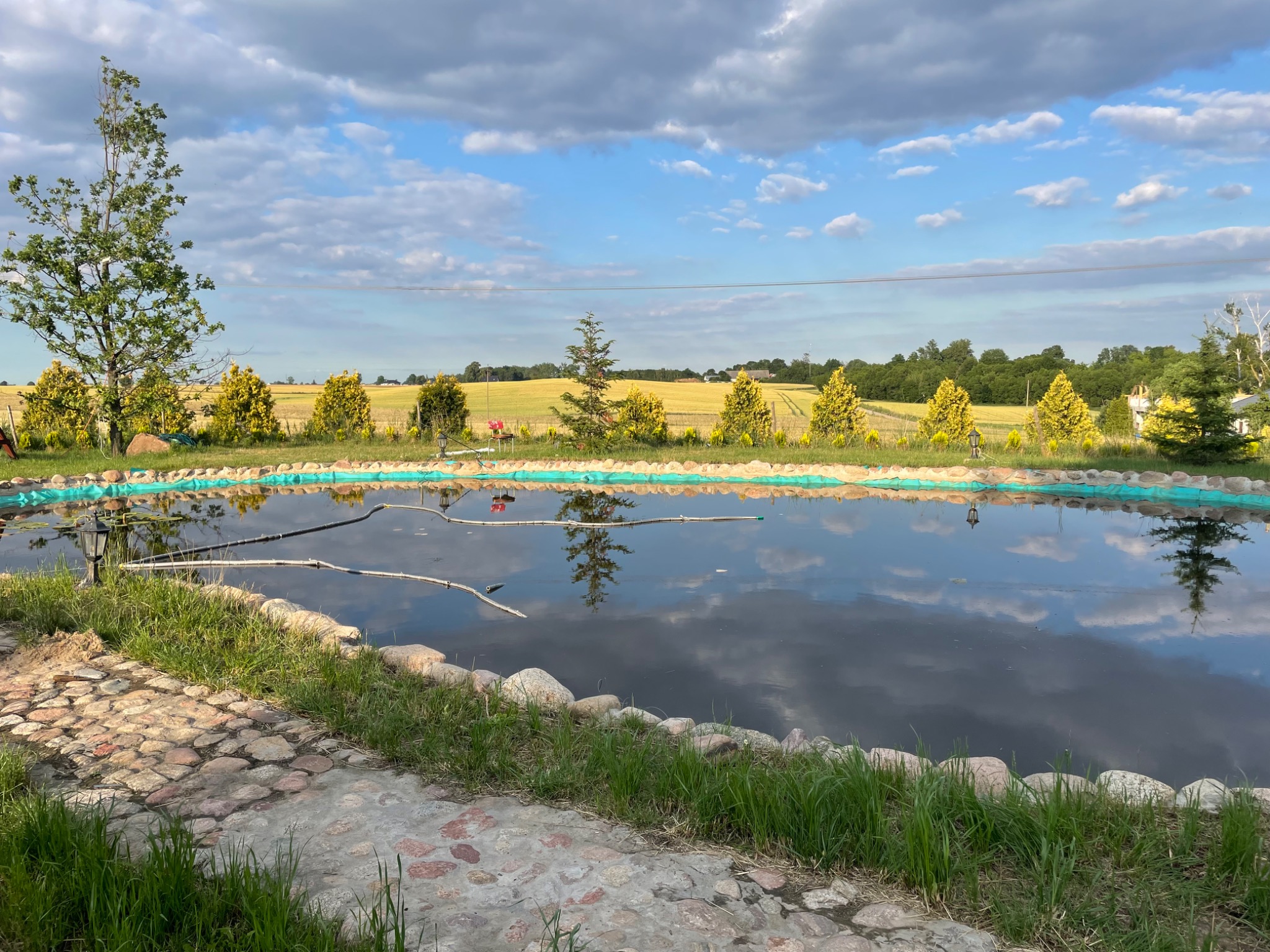 Owalny staw ozdobny z kamiennym brzegiem, otoczony zielenią i niskimi drzewami iglastymi, z odbiciem nieba w ciemnej wodzie, widok na pola i błękitne niebo z chmurami w tle.