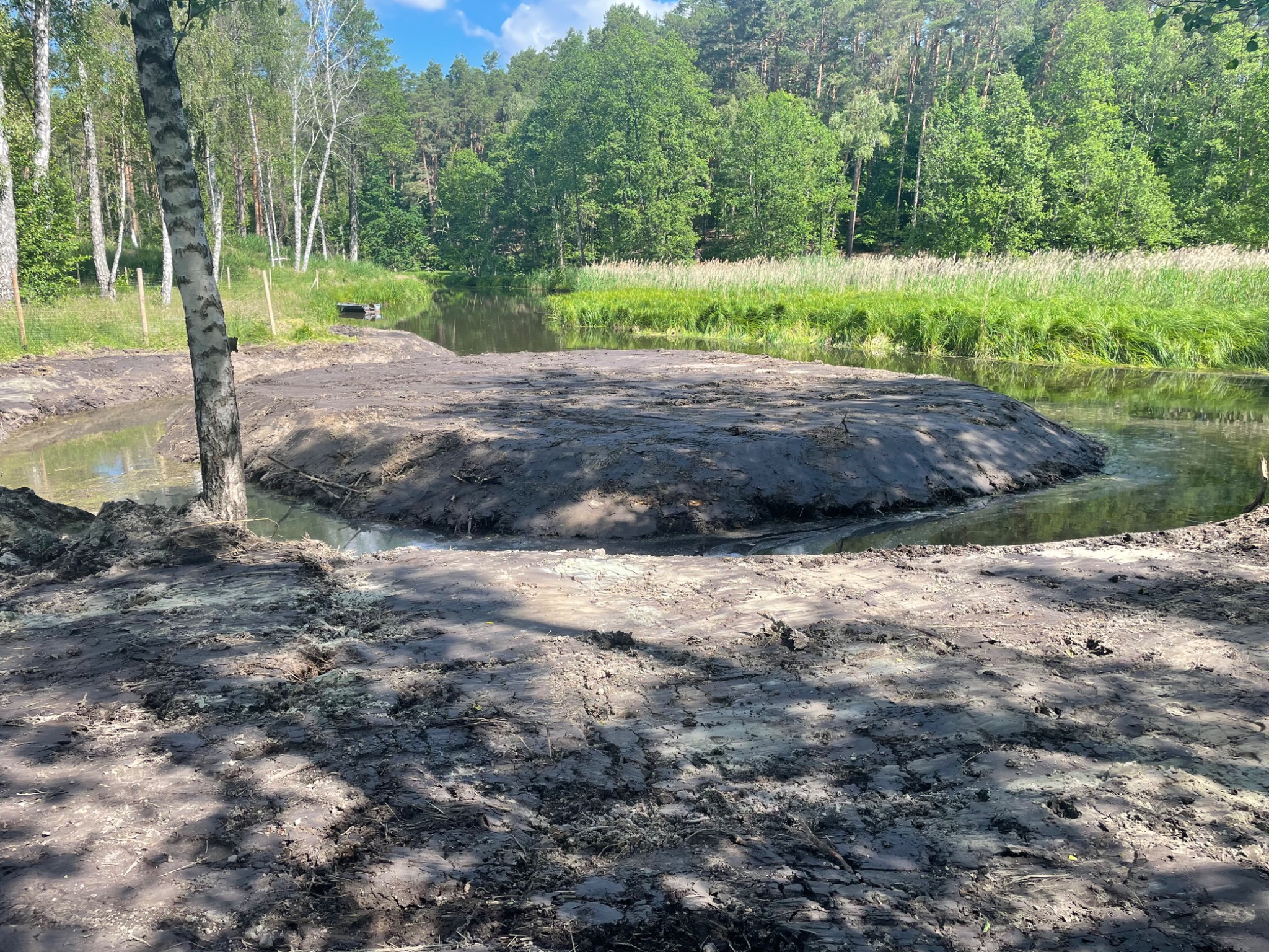 Wyrobisko w wodzie, uformowany nasyp z ziemi w otoczeniu drzew i roślinności wodnej, widoczne ślady prac ziemnych.