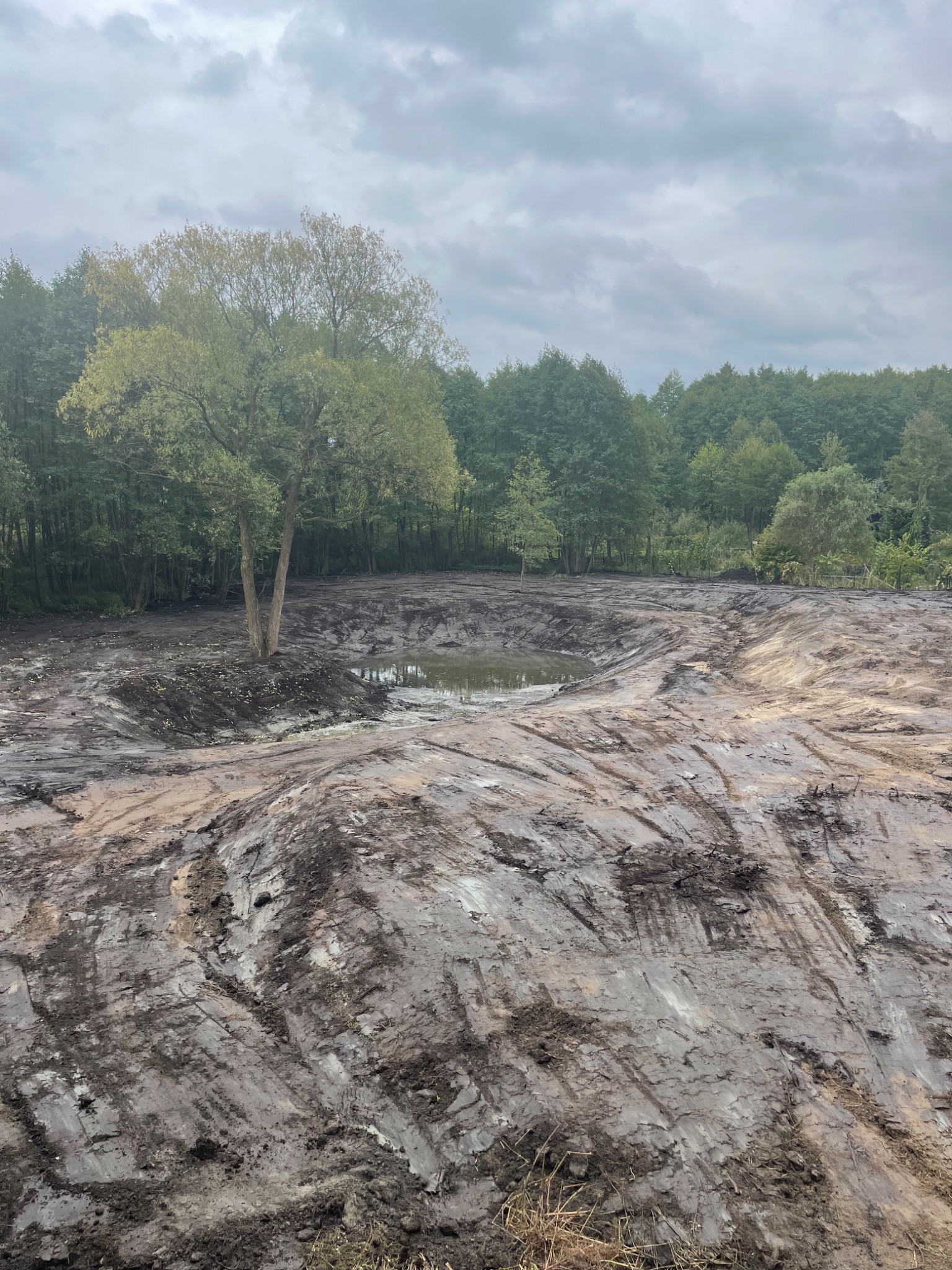 Świeżo wykopany staw z wodą w zagłębieniu, otoczony drzewami, widoczne ślady opon i prac ziemnych, pochmurne niebo.