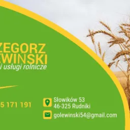 Wizytówka firmy Grzegorz Olewiński oferującej handel i usługi rolnicze, z adresem, numerem telefonu, adresem email oraz tłem z kłosami zbóż.