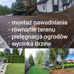 Art Bruk Joachim Jankowski - Kompozycja zdjęć z różnych etapów tworzenia ogrodu: wyrównany teren pod trawnik z młodymi drzewami, trawnik z ozdobnymi kamykami, żywopłot z tuj i widok na dom.