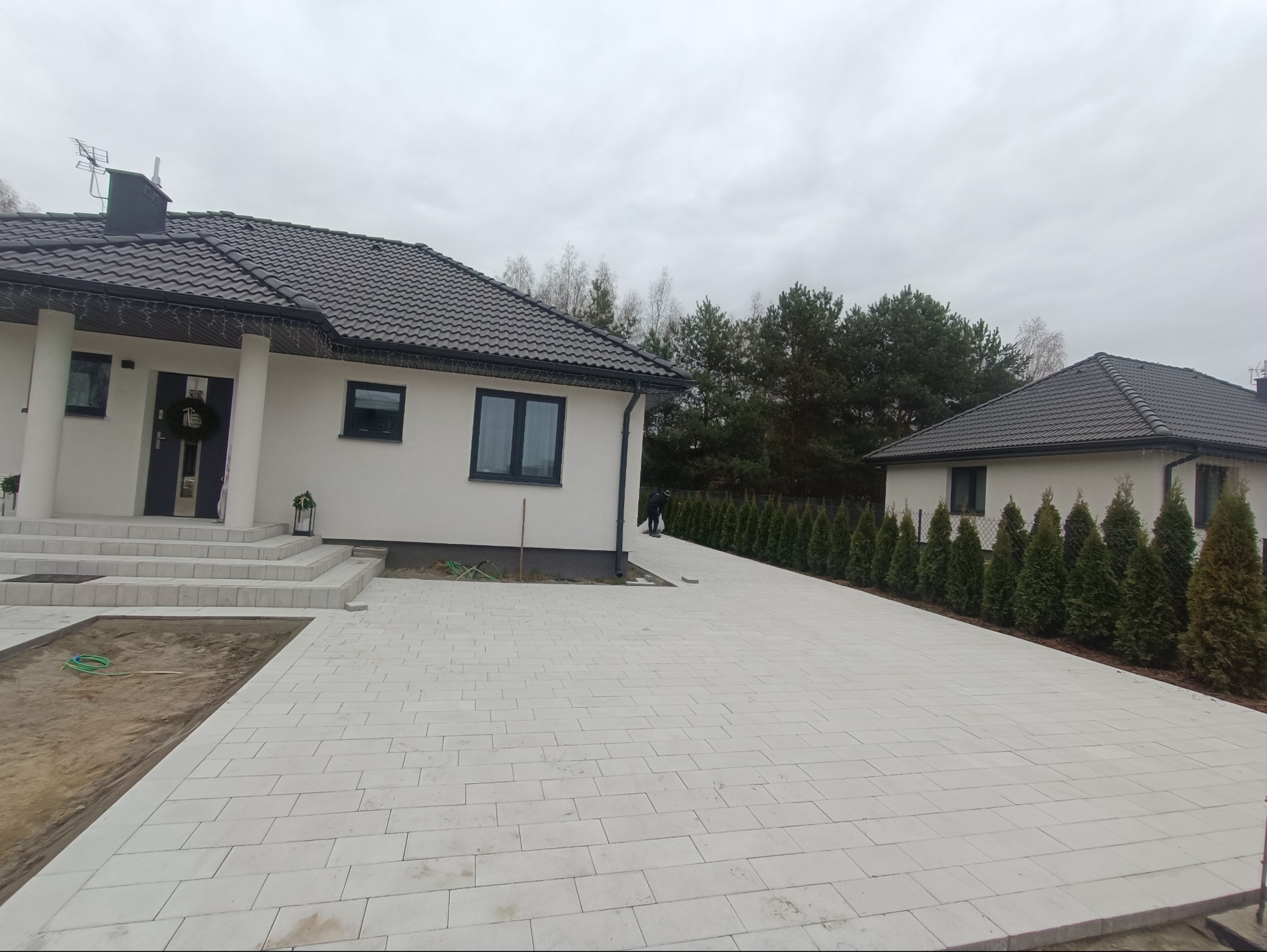 Nowoczesny dom z jasną kostką brukową na podjeździe i schodach wejściowych, otoczony młodymi tujami wzdłuż ogrodzenia.