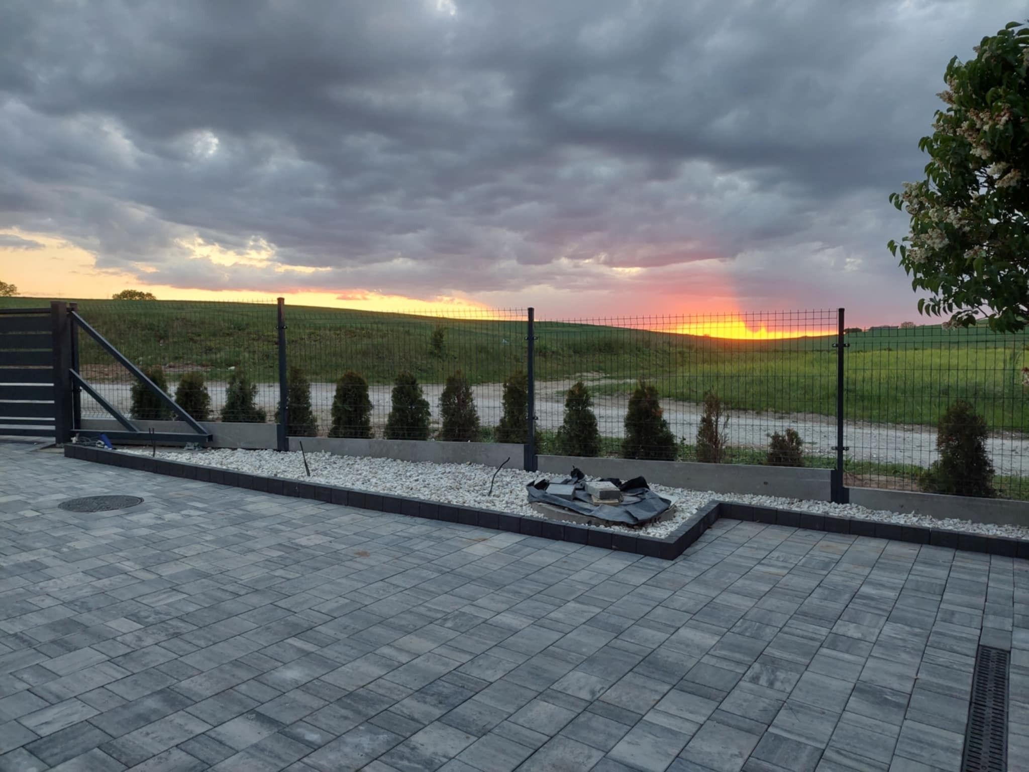 Ułożona kostka brukowa w Lubiczu, z widokiem na ogrodzenie panelowe i zachodzące słońce. Małe tuje zasadzone wzdłuż ogrodzenia, szara kostka brukowa.