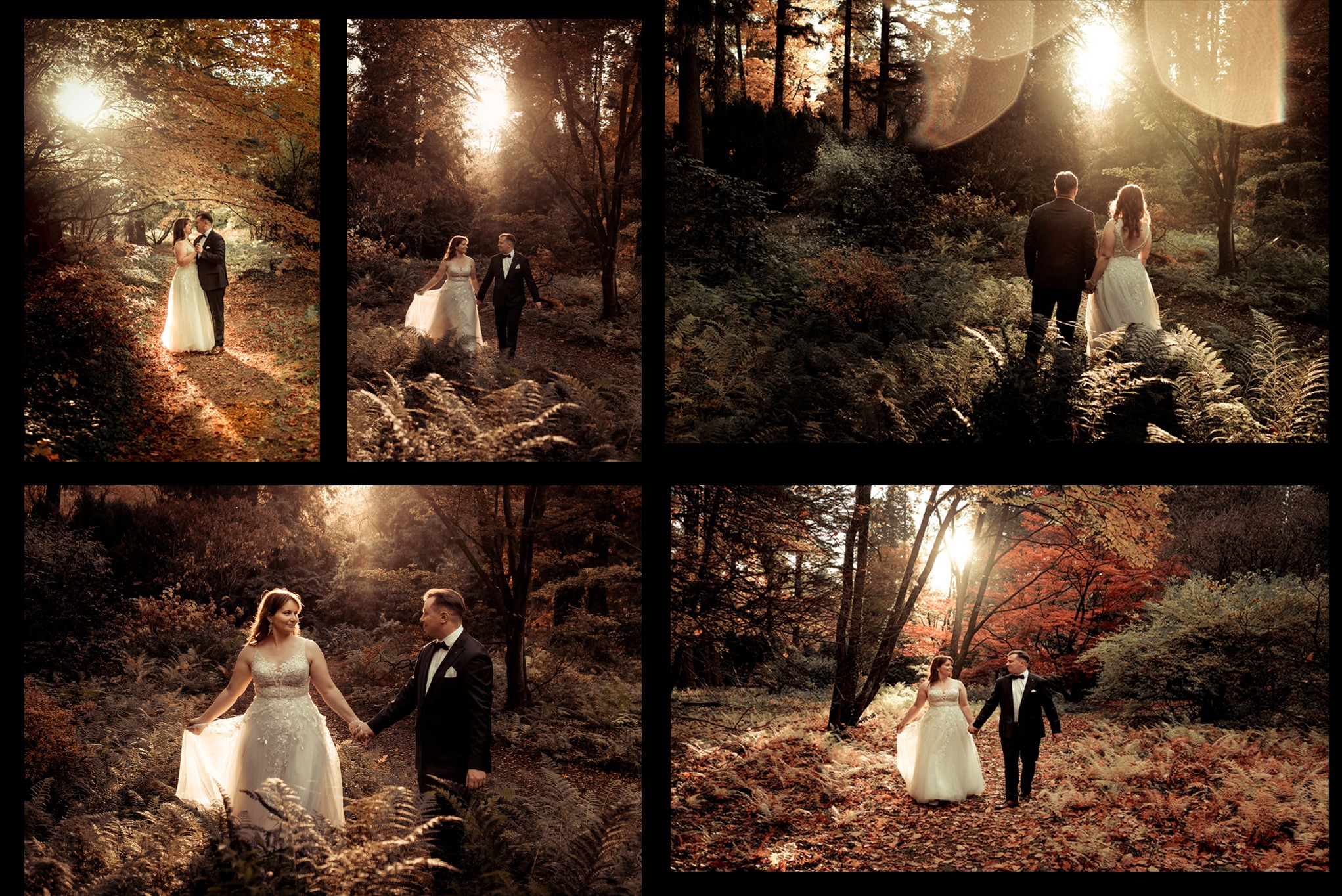 Kolaż z czterech ujęć pary młodej w jesiennym lesie, z promieniami słońca przebijającymi przez drzewa. Romantyczna sceneria, suknia ślubna i elegancki garnitur.
