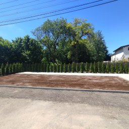 Usługi remontowo budowlane Krzysztof Kasprusz - Przygotowany teren pod trawnik z rolki, widoczne wyrównane podłoże, obrzeża z kostki betonowej i rząd posadzonych tuj, w tle dom i drzewa.