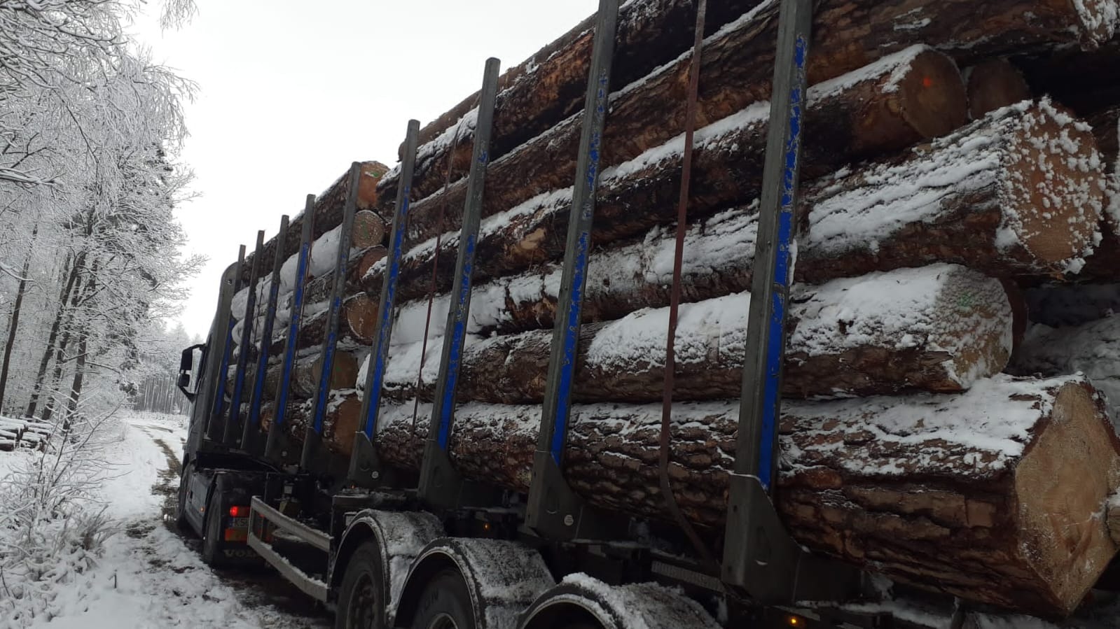 Ciężarówka załadowana drewnem okrągłym, pokrytym śniegiem, na tle zimowego lasu.