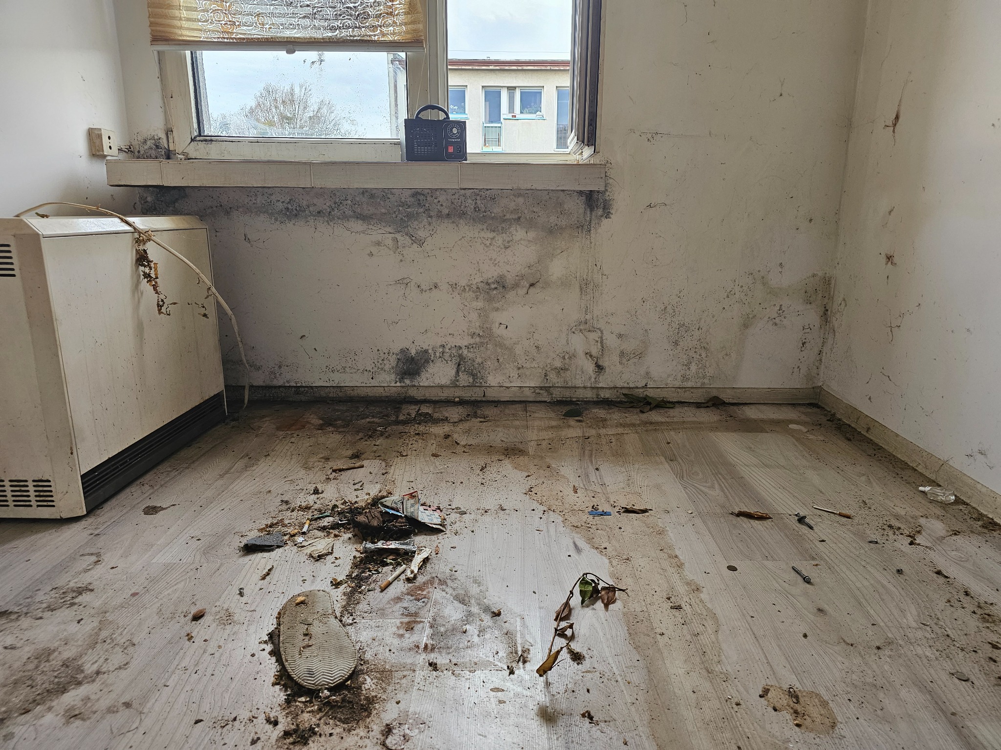 Zaniedbane wnętrze pokoju z widoczną pleśnią na ścianach, brudną podłogą z resztkami śmieci, starą grzejnikiem i radiem na parapecie.