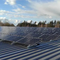 Rząd paneli słonecznych na blaszanym dachu, widok z dołu pod kątem, tło stanowią drzewa i częściowo zachmurzone niebo.