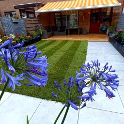 Projektowanie ogrodów Beverwijk 2