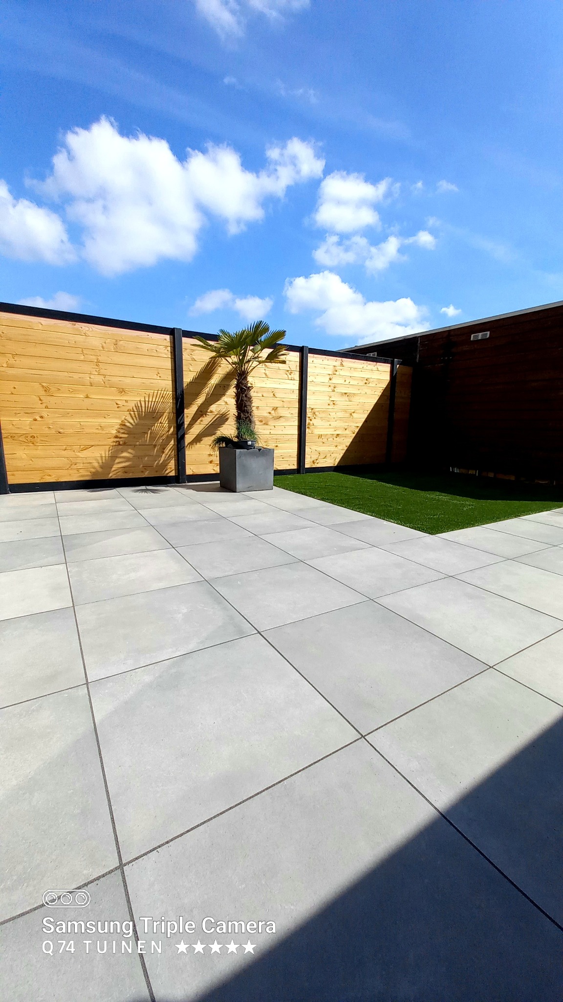 Nowoczesny taras z szarych płyt, drewnianym ogrodzeniem z czarnymi elementami, małą palmą w kwadratowej donicy i fragmentem zielonego trawnika.