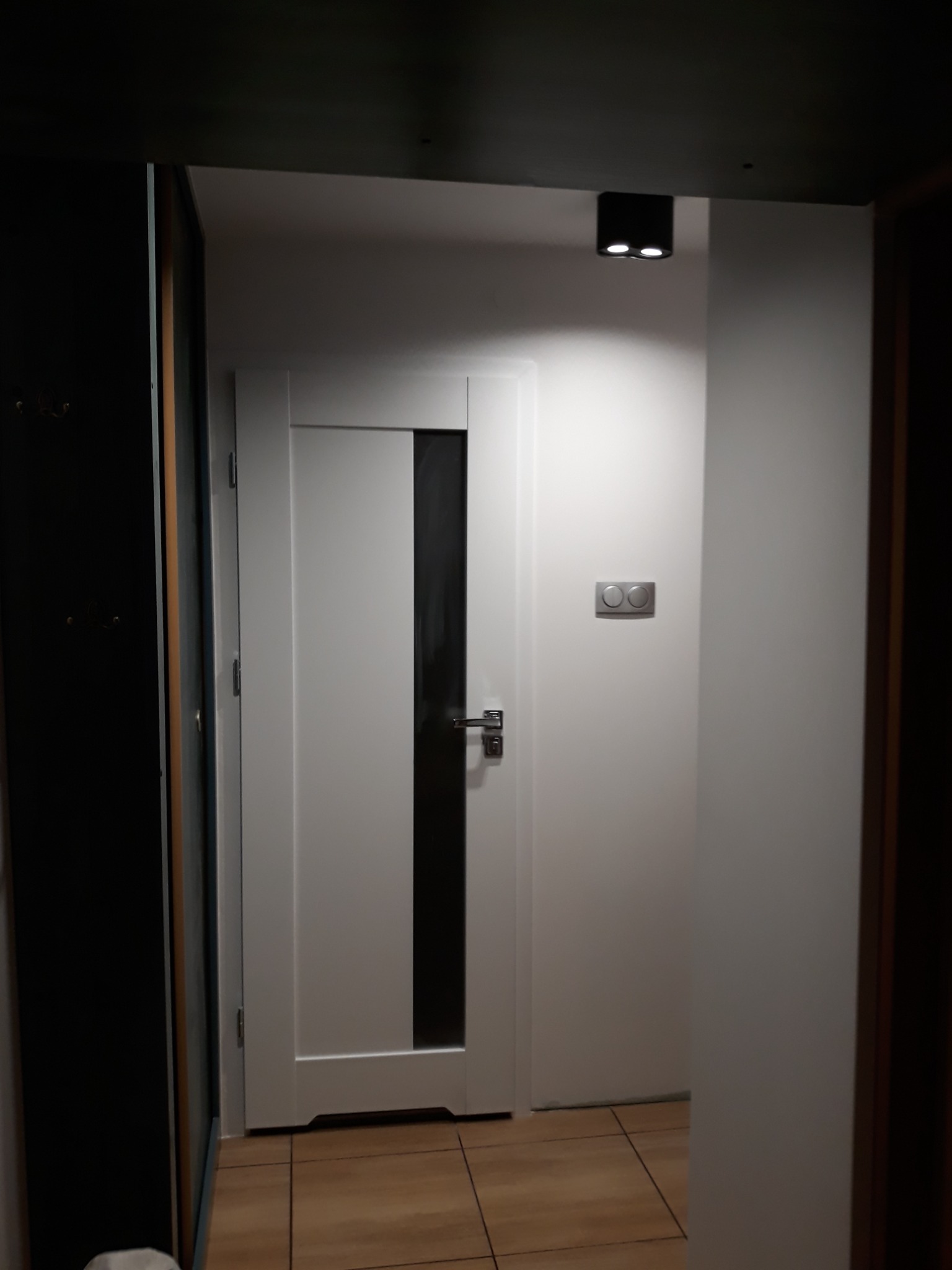 Wnętrze korytarza z białymi ścianami, drewnianą podłogą i nowoczesnymi drzwiami z czarnym przeszkleniem, oświetlone czarnym reflektorem sufitowym.